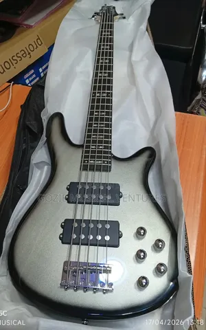 Black Grey 5 String Wellsound Passive Bass Guitar