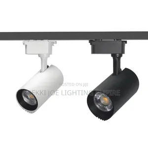 Track Light Black and White Body Type