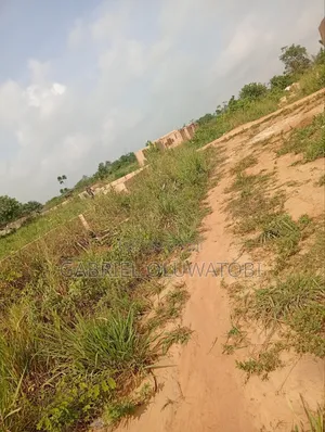 Freehold, Deed of Assignment , Family Deed ( Iwe Ebi)Etc.