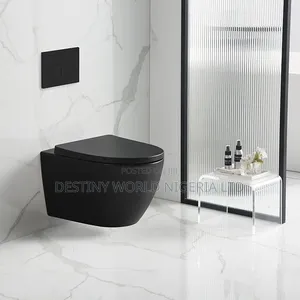 Luxury Black Wall Hung Toilet 
