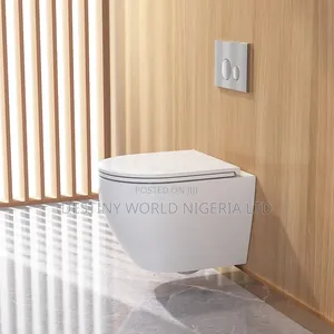 Luxury White Wall Hung Toilet 