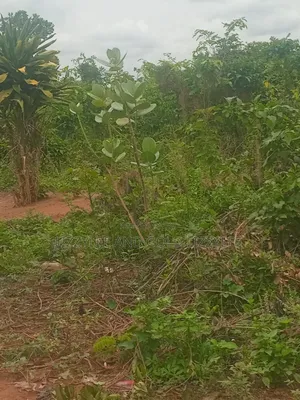 1000 Acres of Farmland Is Available for Sale