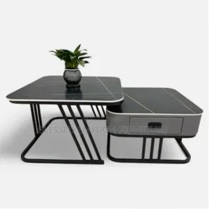 Dual Coffee Marble Center Table - Black Top