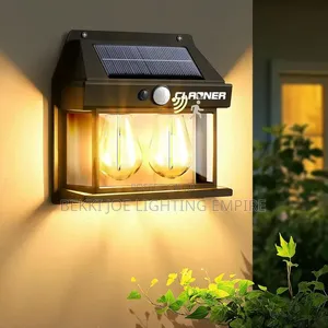 Solar Double Security Light