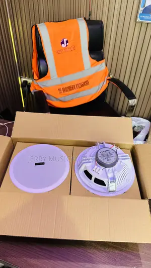 2n1 8inches Bluethooth Ceiling Speakers