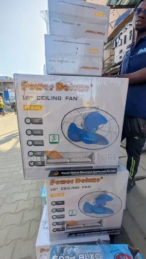 16 Wall Fan Power Deluxe