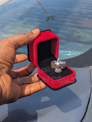 Bird Inspires Steel Silver Men's Ski Ring