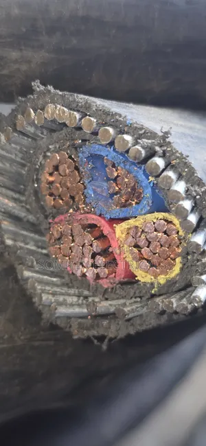 95mmx4core Coleman Cable