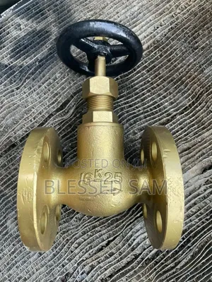 -25 Globe Valve Flanged