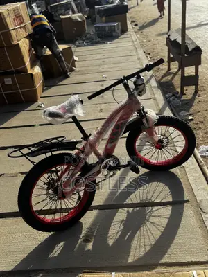20-inch Fat Tire Bicycle Designed For Teenagers And Young Adults