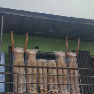 Mannequins