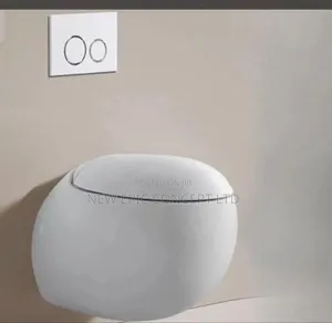 Special Egg Shape Toilet Conceal Wall Hung