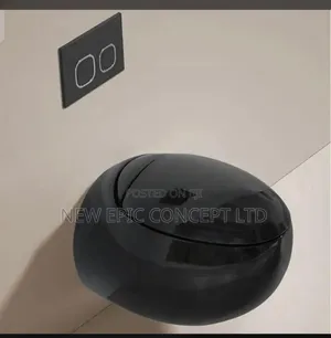 Special Egg Shape Toilet Conceal Wall Hung