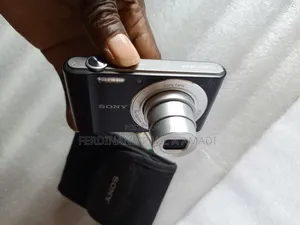 Sony Digital Photo Video Camera for Vintage Passport Snapping