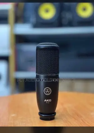 Akg P120 Condenser Microphone