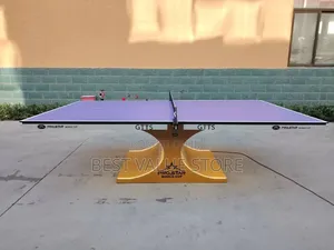 Pro Star World Cup Outdoor Aluminum Table Tennis