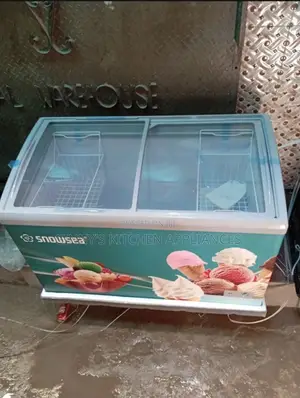 Snowsea 300l Ice Cream Freezer