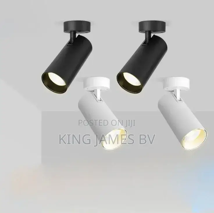 Single Base Track Light