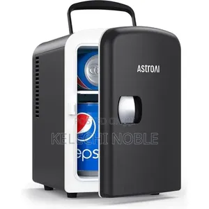 Portable Mini Refrigerator