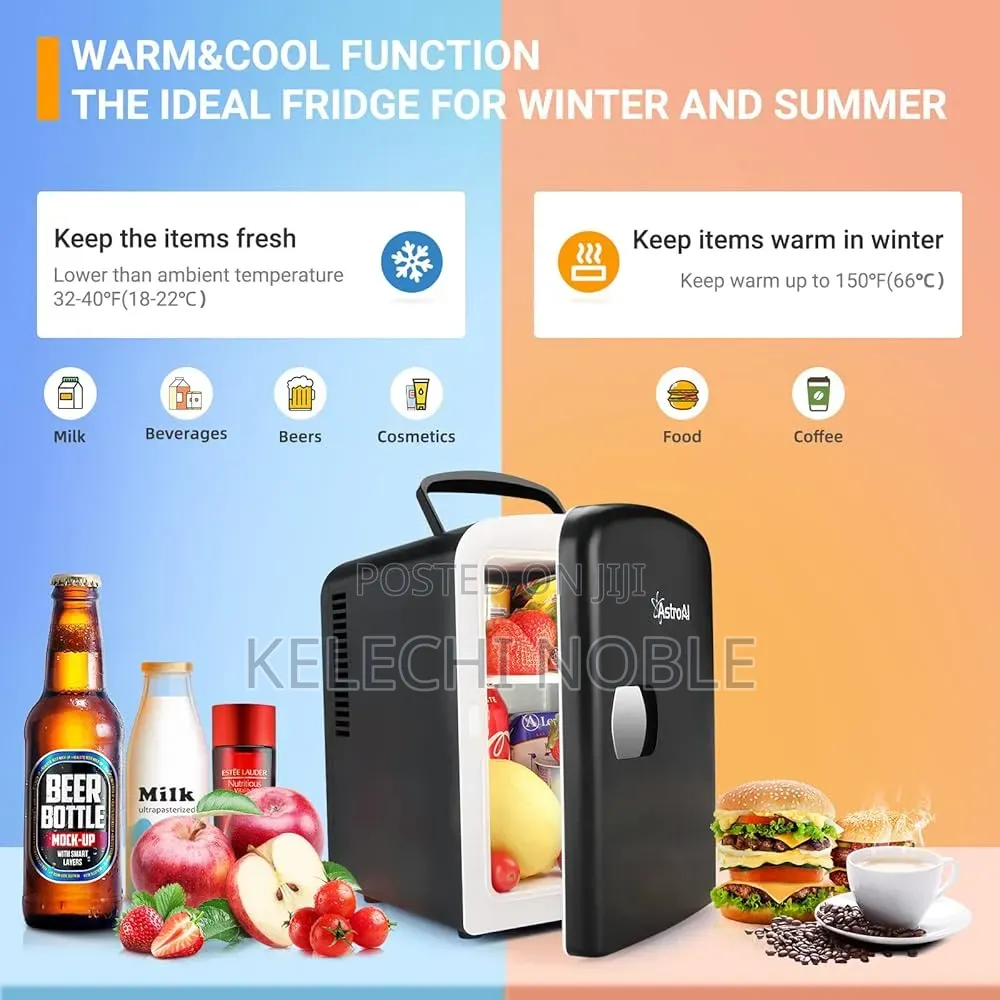 Portable Mini Refrigerator