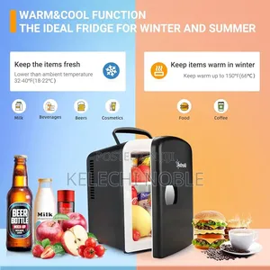 Portable Mini Refrigerator