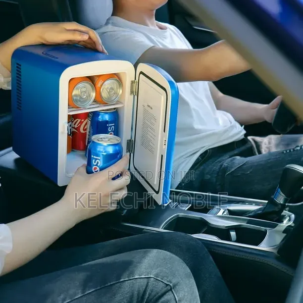 Portable Mini Refrigerator