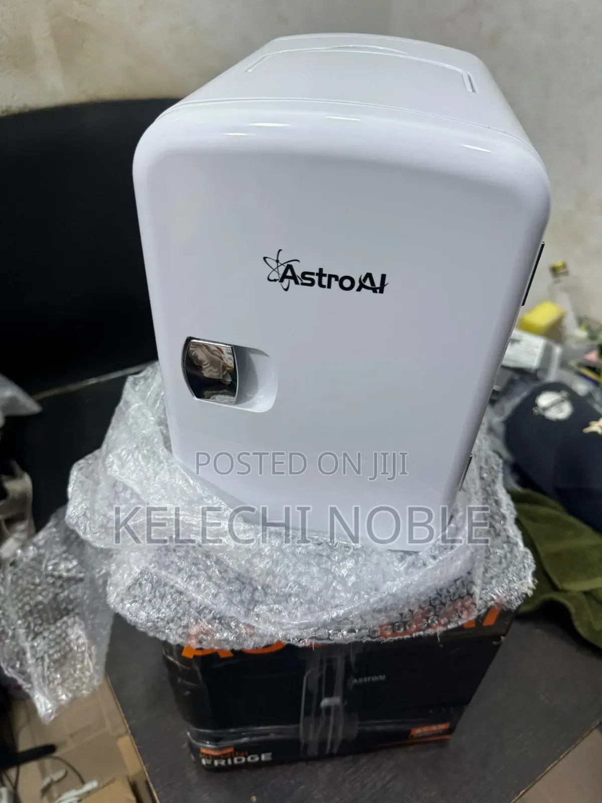 Portable Mini Refrigerator