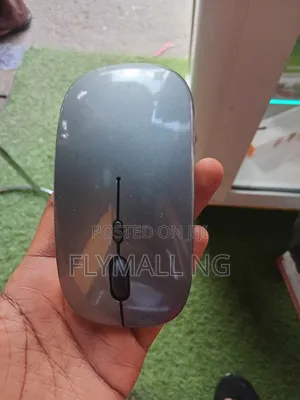 Wireless Mouse