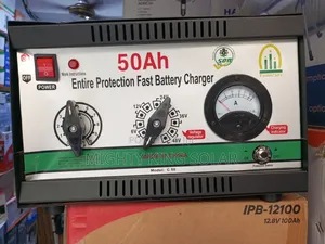 Faster Battery Charger 12/ 24/48v Famicare