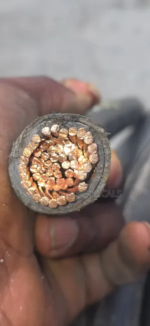 300mmx1core Coleman Cable