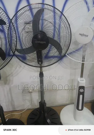 Maximus Fan Standing