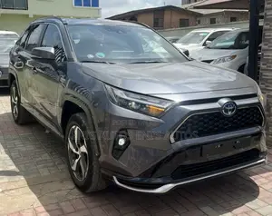 Toyota RAV4 Limited AWD 2024 Gray