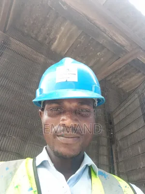 Project Manager/Supervisor