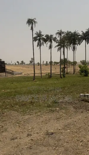 Land Property
