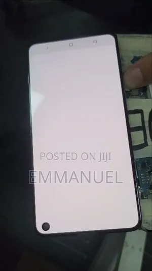 Samsung S10e Screen