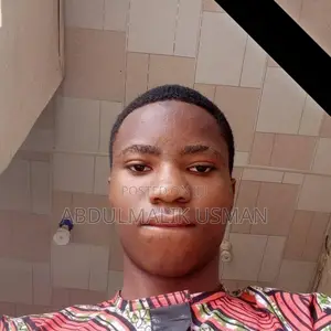 Python Developer
