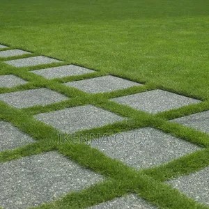 40mm Carpet Grass
