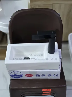 Wall Mounting Basin