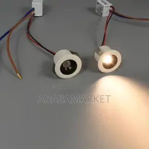 Mini Spotlight