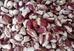 Groundnuts