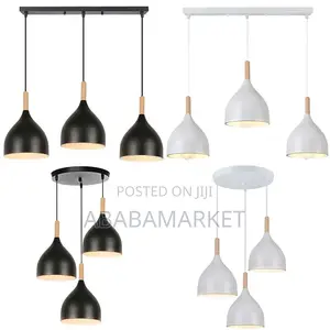 Some Dropping Pendant Light