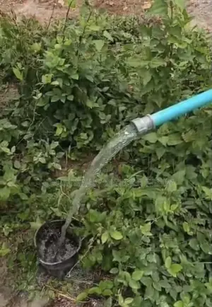 Borehole Drilling in Eleyele, Ologuneru,Jericho, Ile-Titun