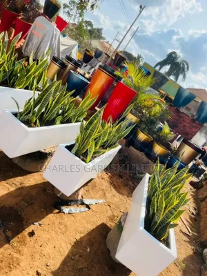 Flower Pots