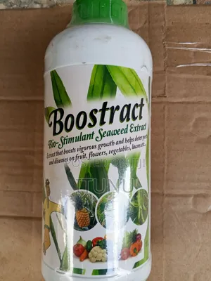 Boostract Fruiter Organic Fertilizer