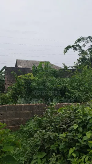 Half a Plot of Land