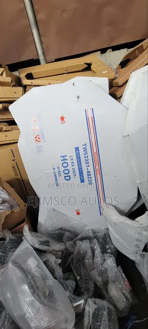 Bonnet Rx350 2022- 2024