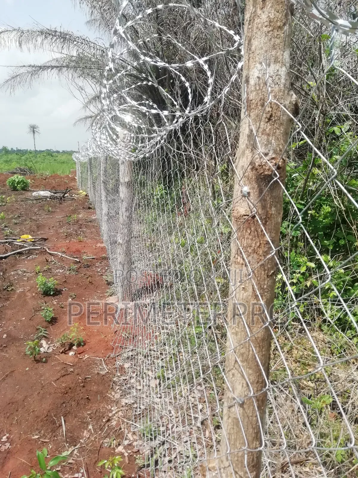 Chainlink Wire Mesh