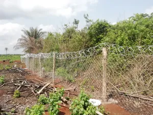 Chainlink Wire Mesh