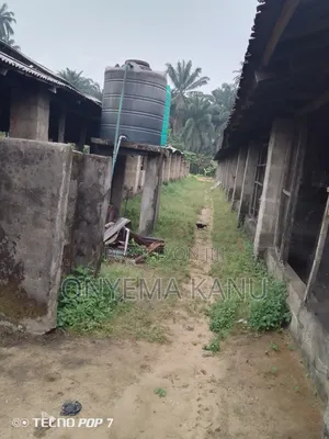 Pen Houses, Fish Ponds to Let