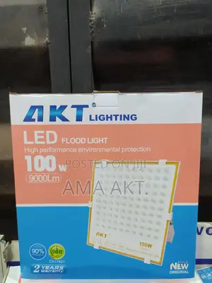 Akt 100w Flood Light